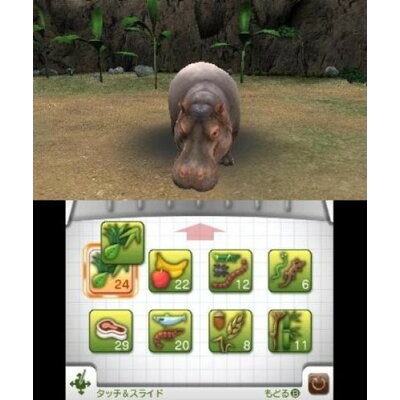 楽天市場 マーベラス アニマルリゾート 動物園をつくろう 3ds Ctrpanmj A 全年齢対象 価格比較 商品価格ナビ 楽天市場 マーベラス アニマルリゾート 動物園をつくろう 3ds Ctrpanmj A 全年齢対象 価格比較 商品価格ナビ